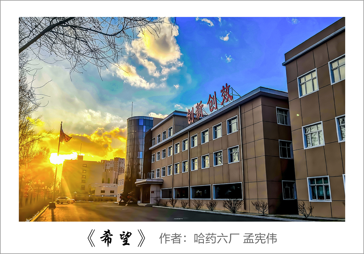 【迎国庆 展风采】我眼中的赏金船长——职工摄影大赛作品展示！
