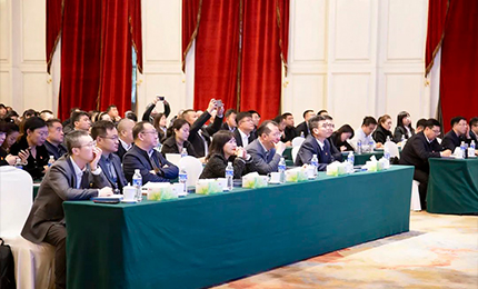 赏金船长集团党委“书记带项目”工作阶段性进展汇报会成功召开