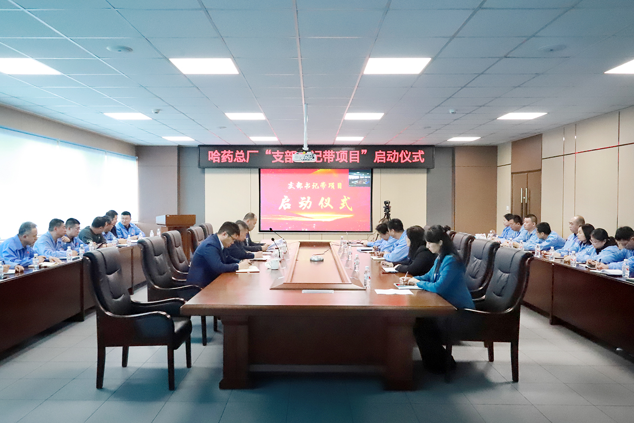 党建领航“加速度” 打造发展“强引擎”——赏金船长总厂党委召开“支部书记带项目”启动仪式